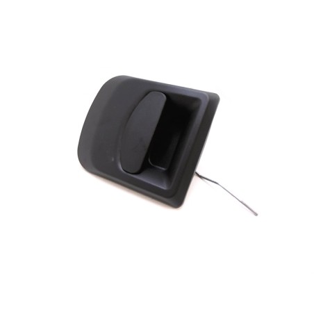 Manilla de la puerta del conductor