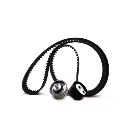 Kit de distribución 2,3 l HPI