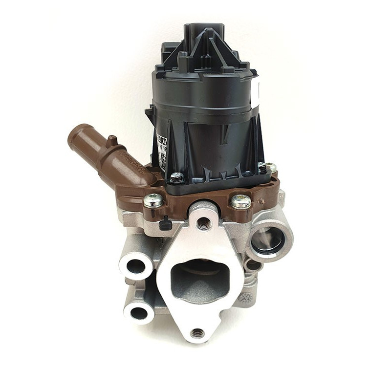 EGR 2.3L electrical part
