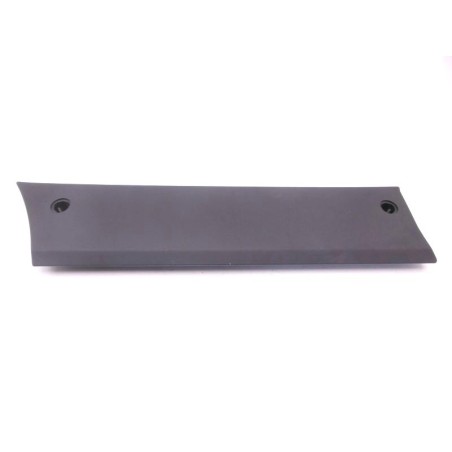 Banda lateral delantera izquierda