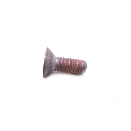 Countersunk Head Security Plate Screw