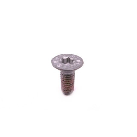 Tornillo de cabeza avellanada placa de seguridad