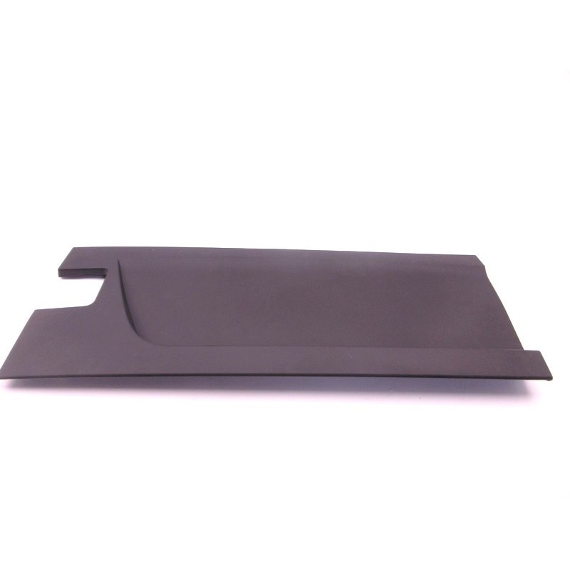 Left rear door panel