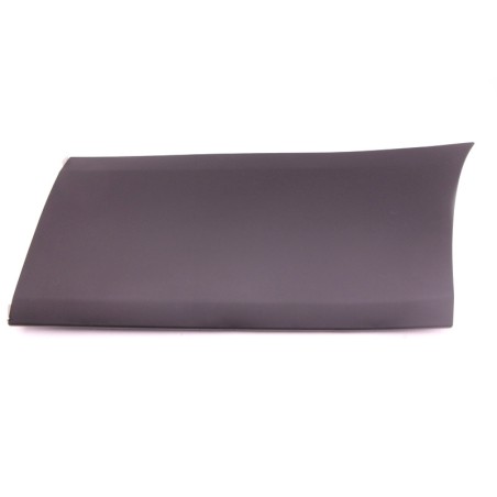 Right front door trim