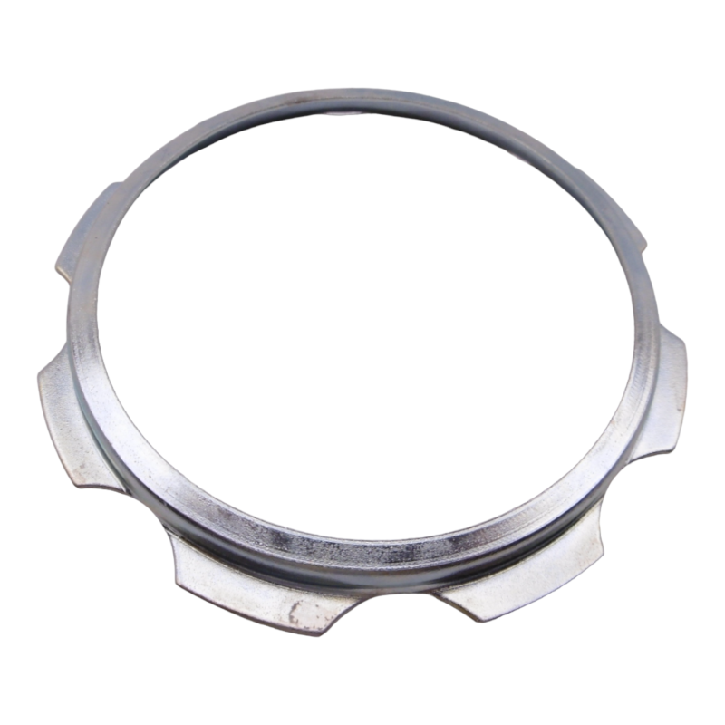 Rear disc dust cover