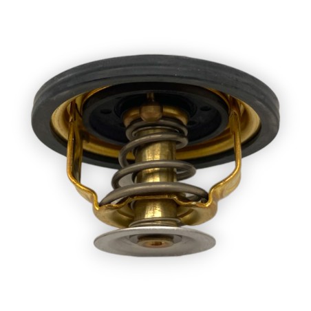 Thermostaat 2,8 l