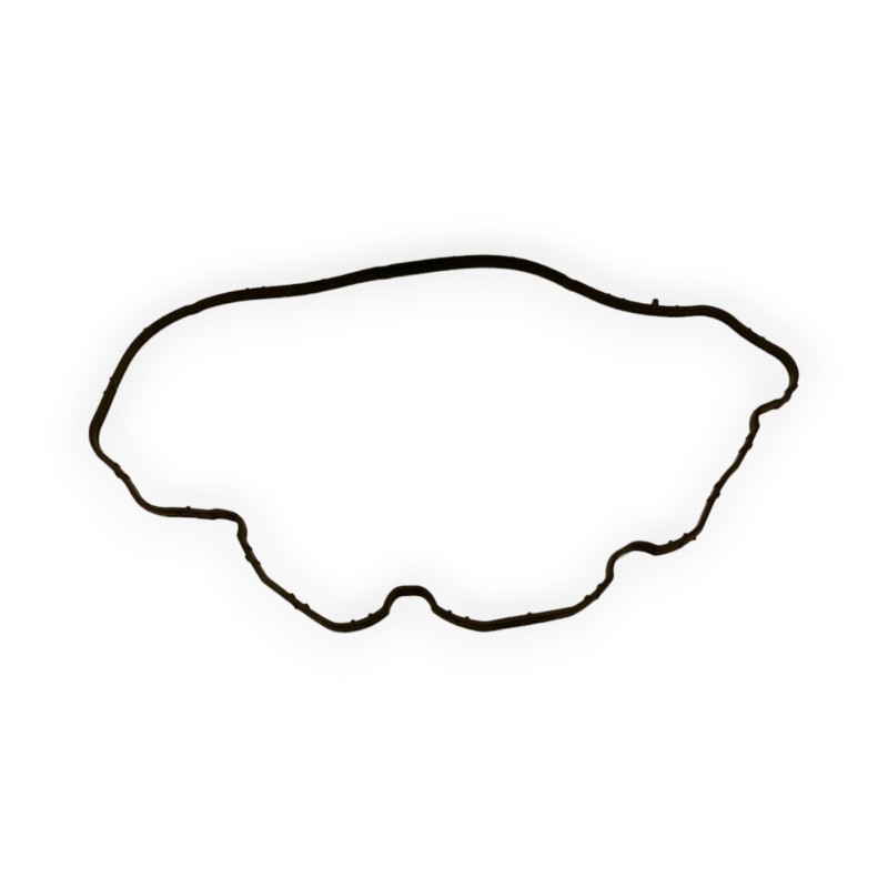 Intake manifold gasket 2.3 JTD