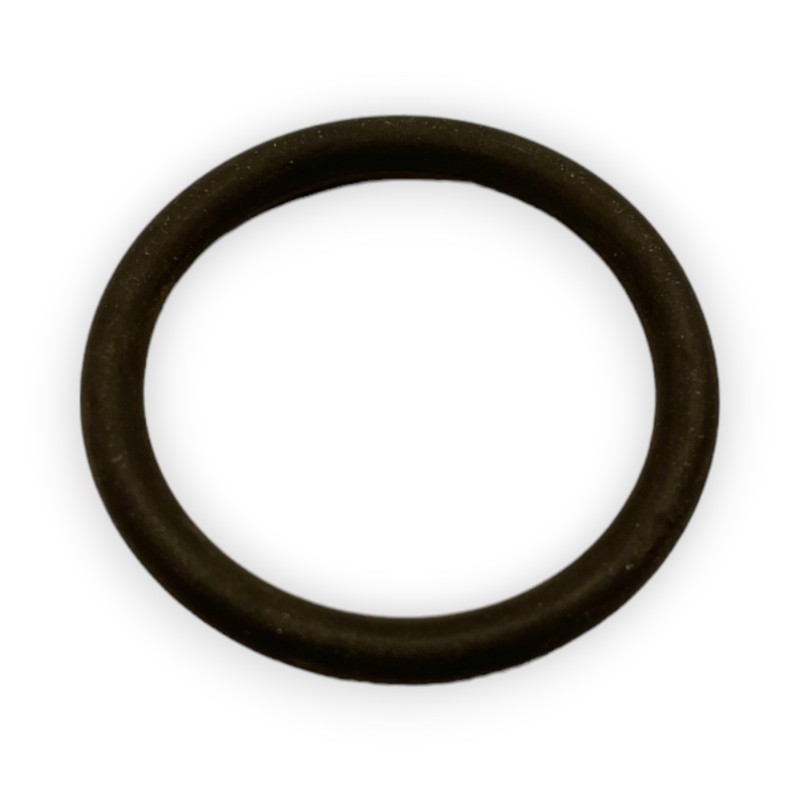 Dichtung für EGR-Ventil 2,3 l