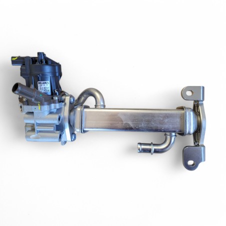 Complete EGR Valve