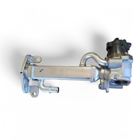 Complete EGR Valve