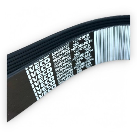 Belt 12PK1818