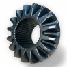 Planetary Gear