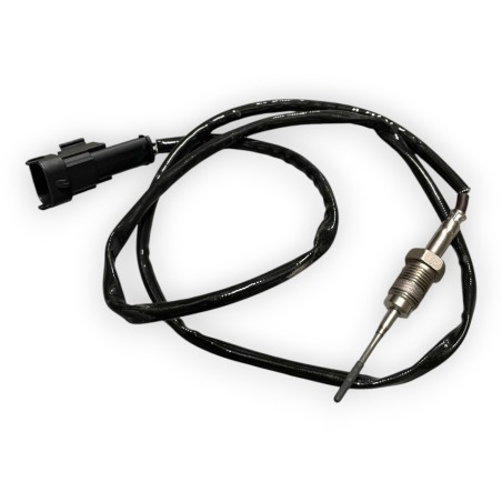 Sensor negro de temperatura de los gases