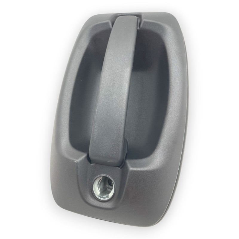 Manilla de puerta delantera y trasera izquierda