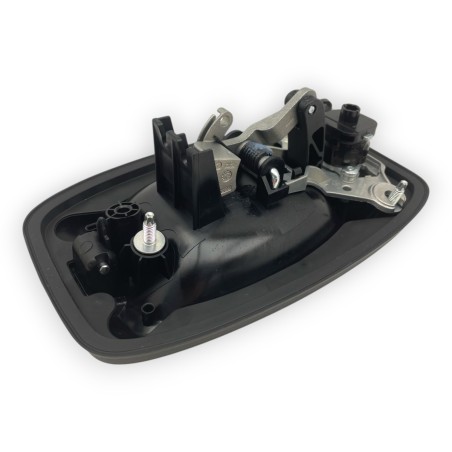 Türgriff vorne und hinten links