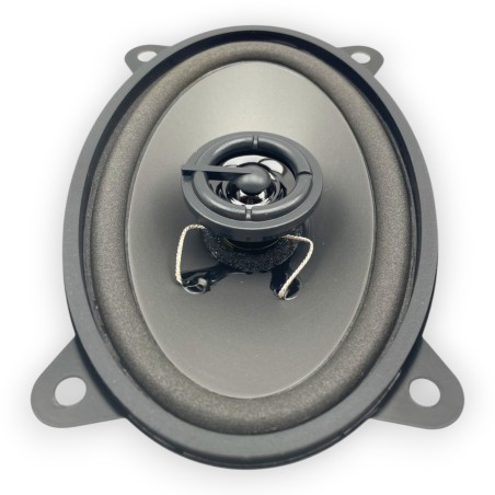 Lotto di 2 altoparlanti